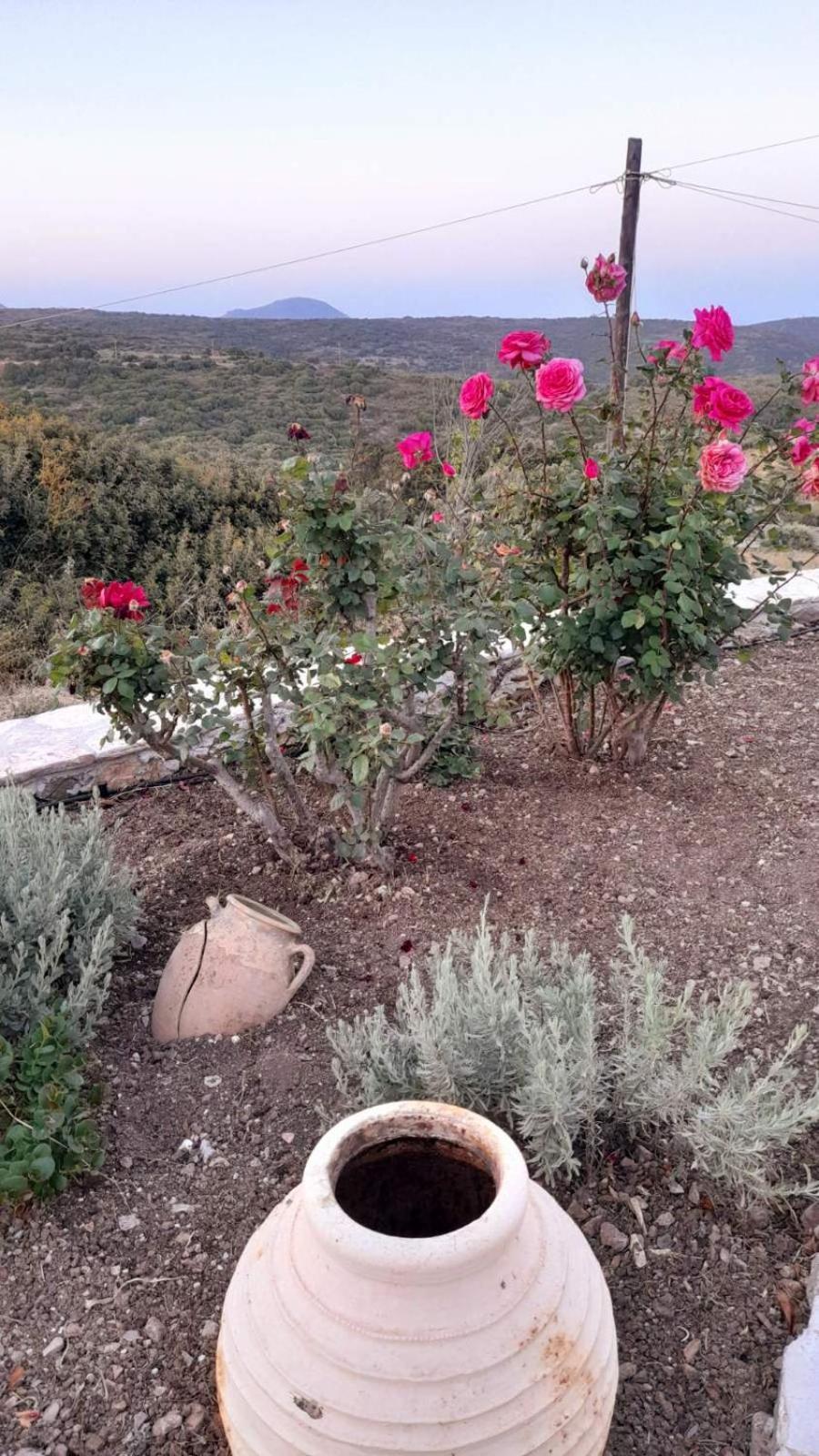 Tsipouras House Kýthira Exterior foto
